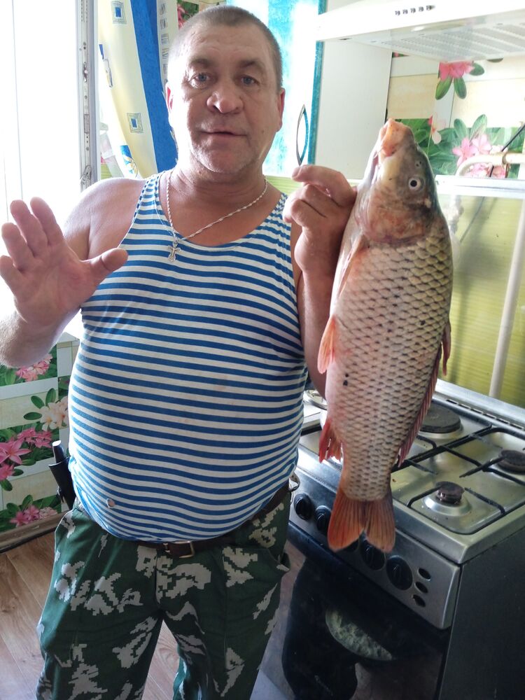  --,   , 54 ,   ,   