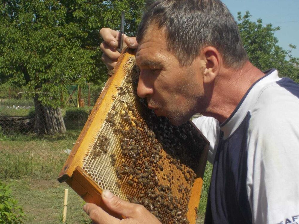 ���� 25127664 ������� ������, 53 ����, ���� ���������� � �������-��-����