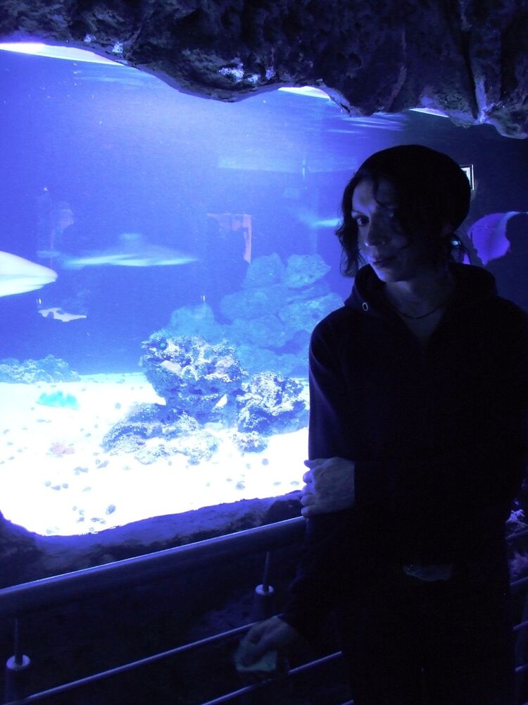 ���� 13151494 ������� ����, 46 ���, ���� ���������� � �����