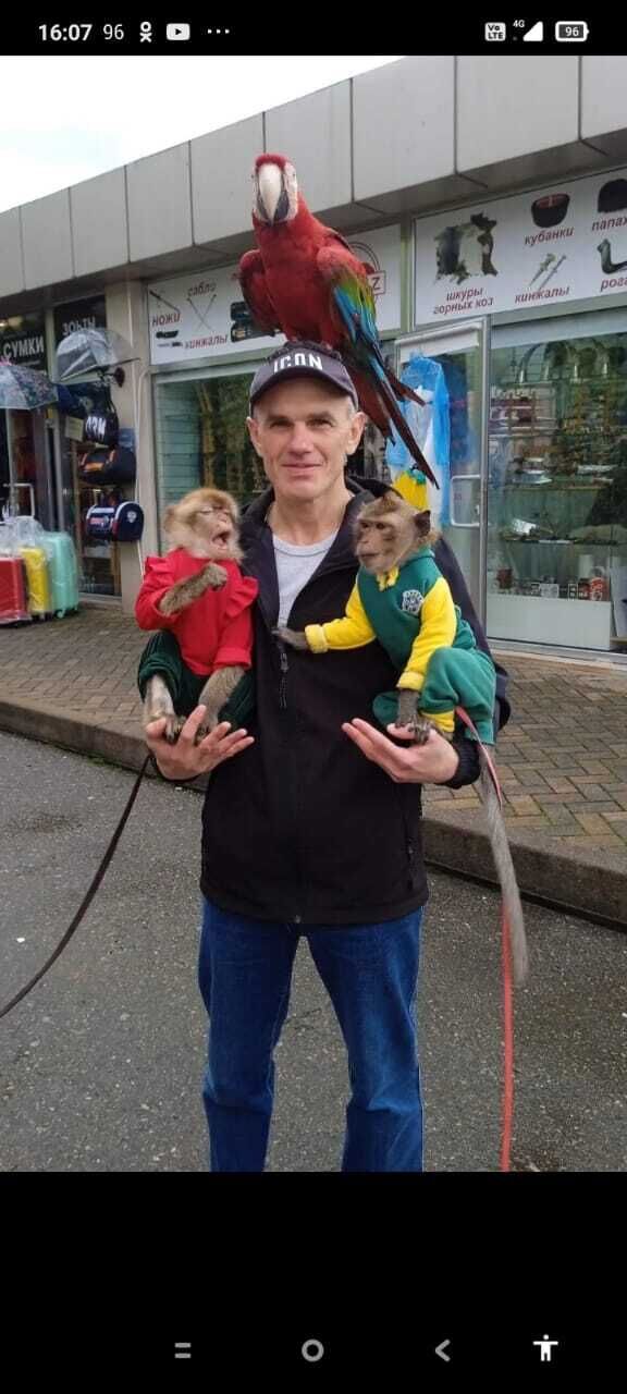 ���� 40985044 ������� �������, 48 ���, ���� ���������� � ����������