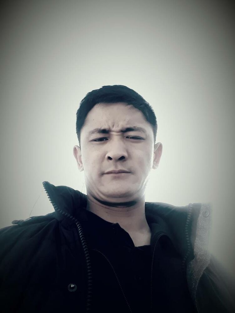 17279604  , 33 ,    