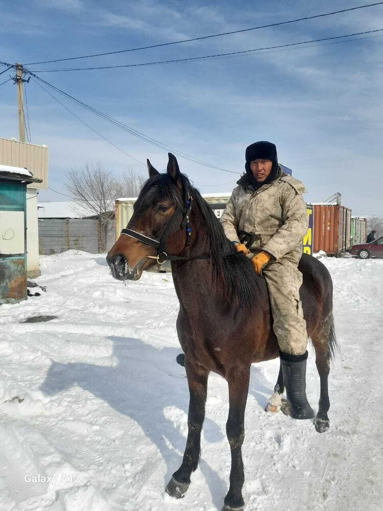 ���� 42089414 ������� �����, 38 ���, ���� ���������� � ������