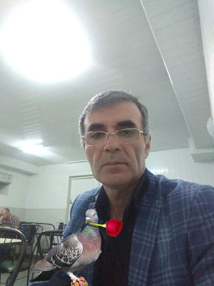  23369254  , 56 ,    