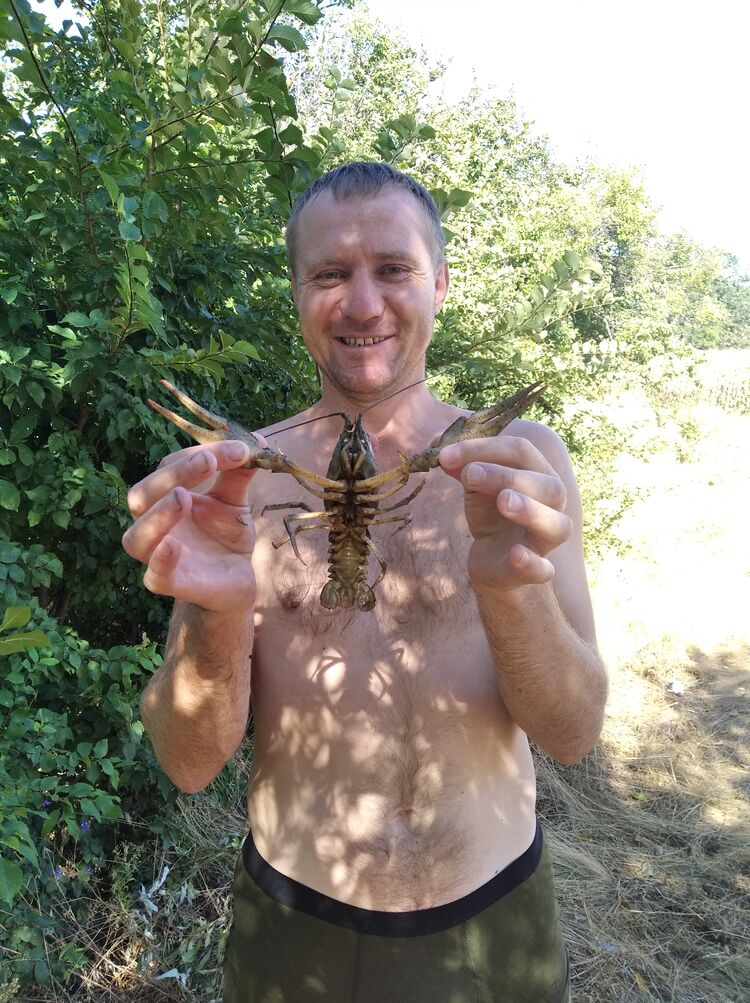  ,   Vitalik, 35 ,   , 