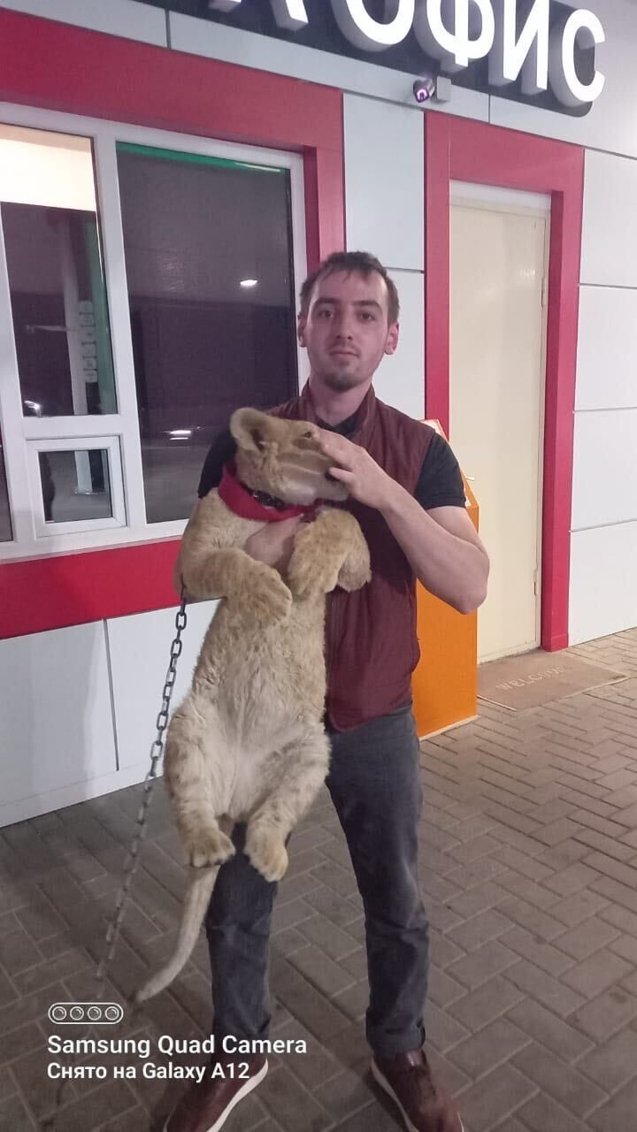  ,   , 26 ,   ,   , 