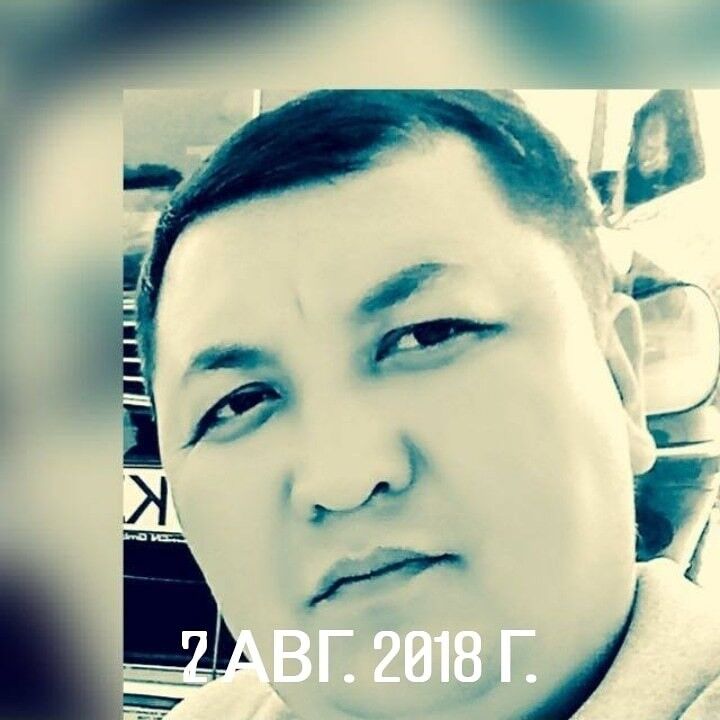 15816494  , 41 ,    