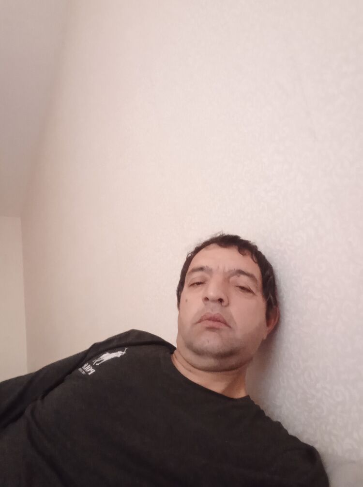  53178234  ALEKS, 40 ,    