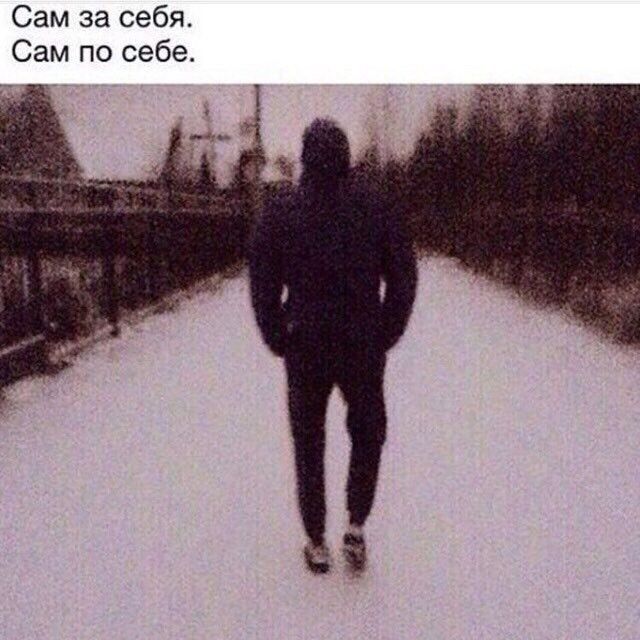  14615374  , 40 ,    