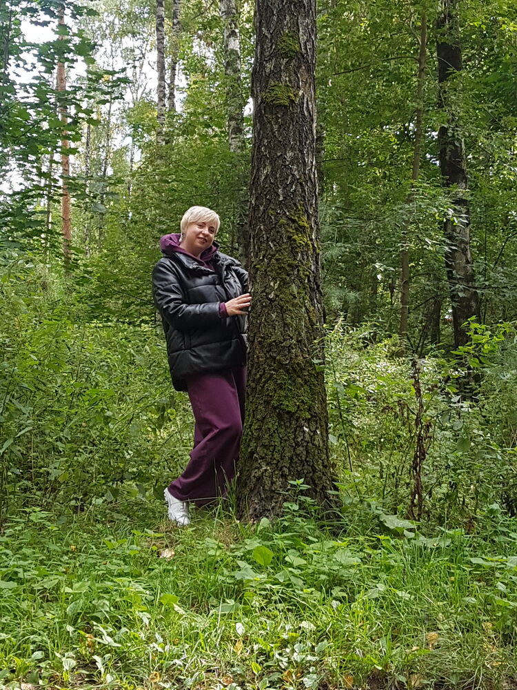 ���� 23858644 ������� �������, 43 ����, ���� ���������� � ������