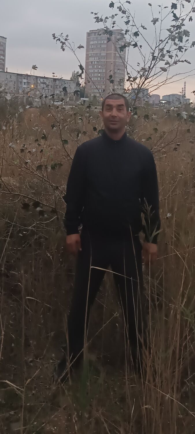  41845584  , 46 ,    