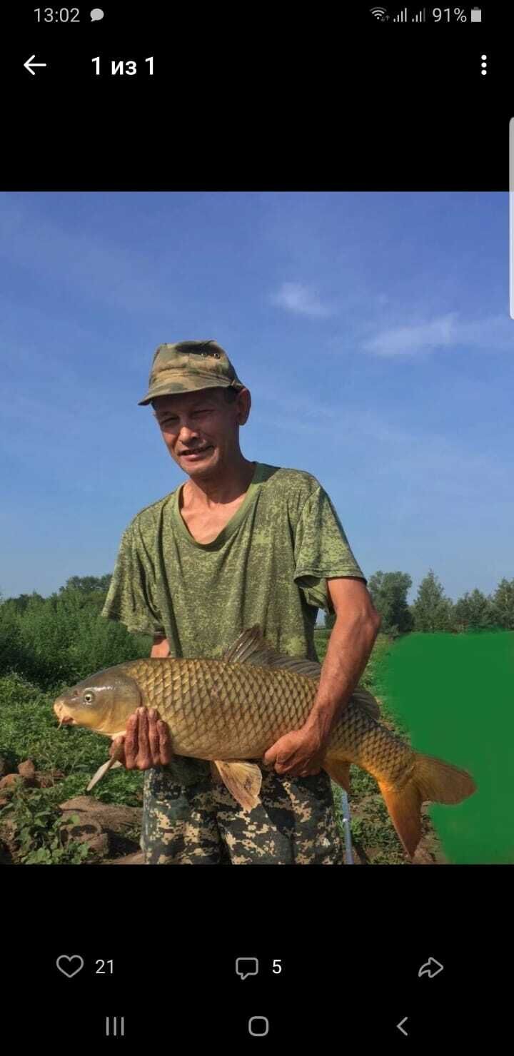 ���� 55105864 ������� ������, 53 ����, ���� ���������� � ����������