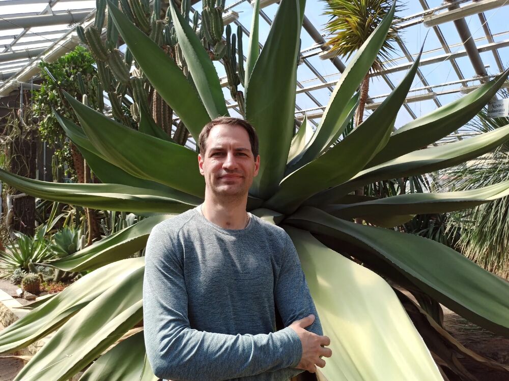  38149374  , 40 ,    -