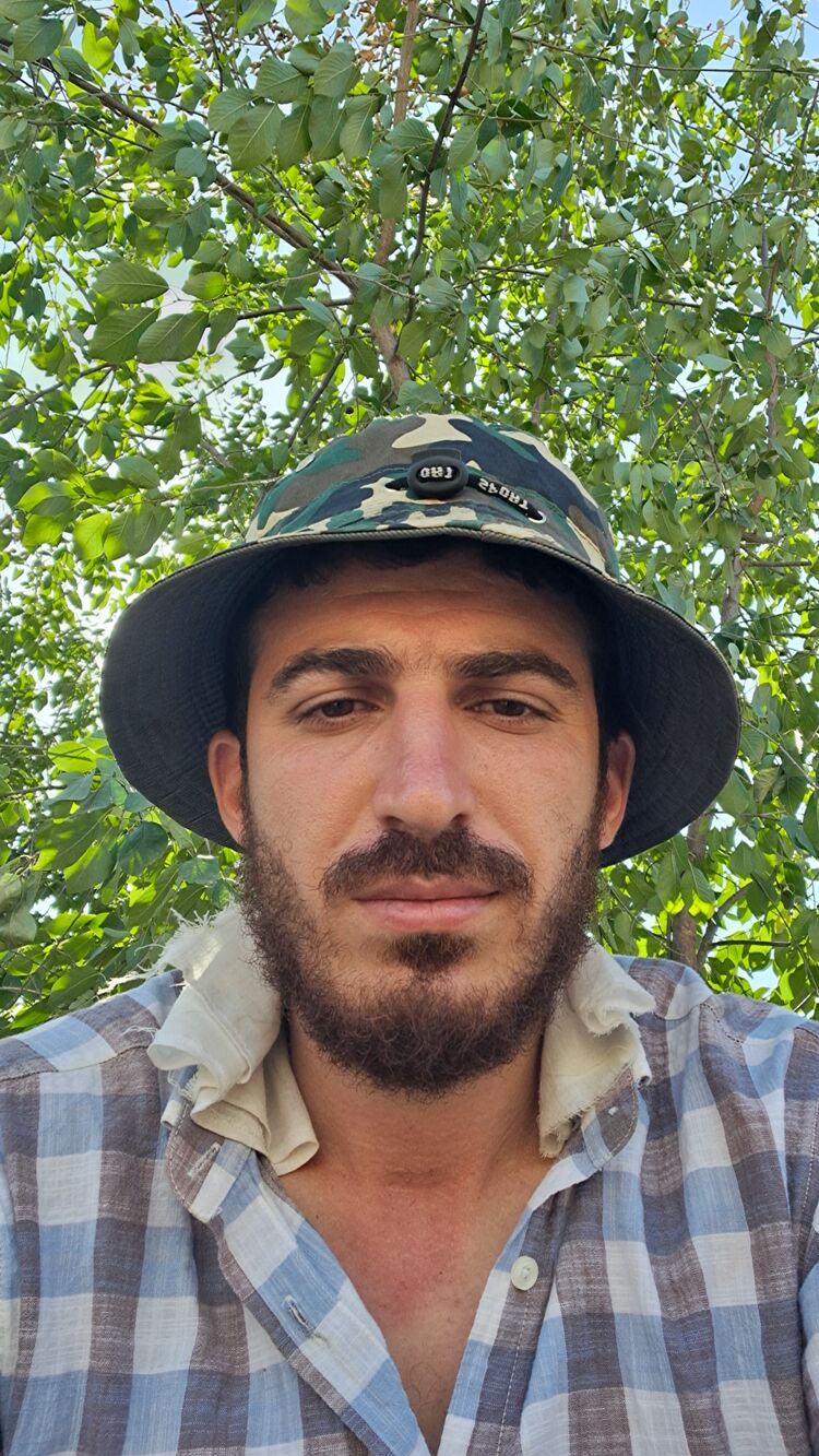 ���������� �������, ���� ������� Adsm, 31 ���, ������������ ��� ������, ����� � ���������