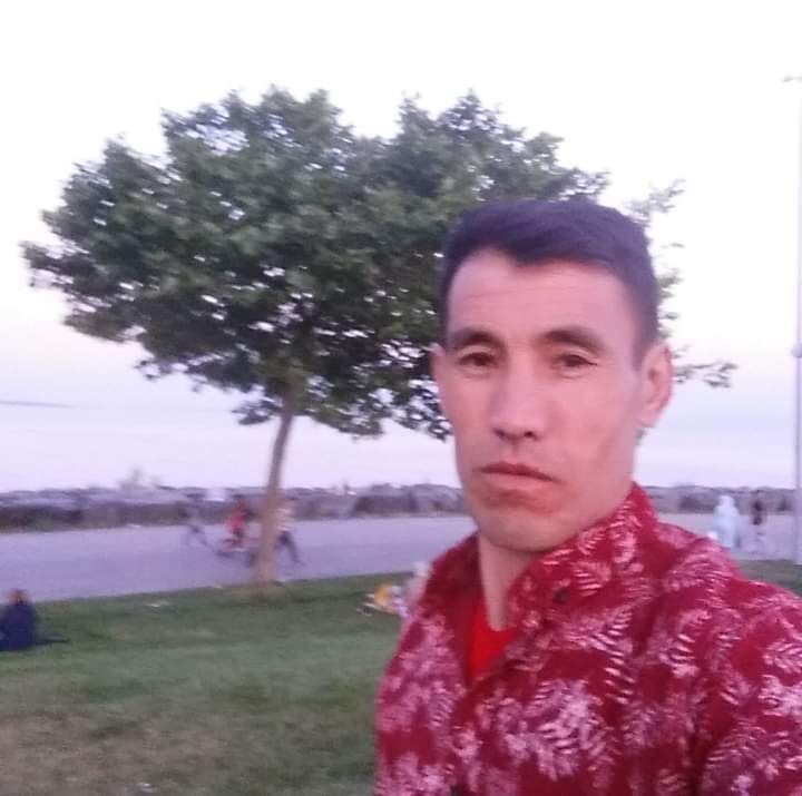  27541894  , 43 ,    -