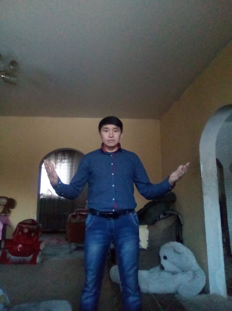  48605374  , 38 ,    -