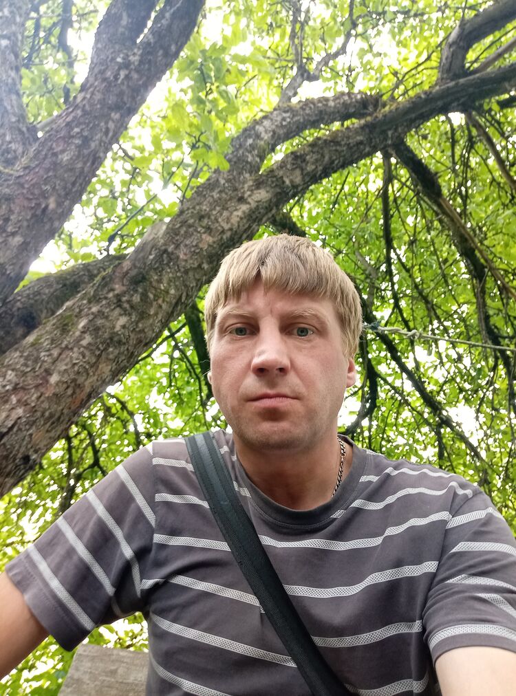  28082594  , 41 ,    -