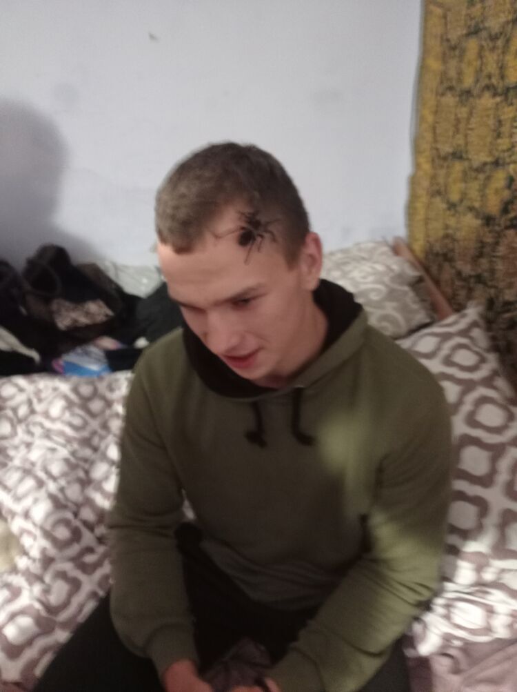  44129004  , 19 ,     