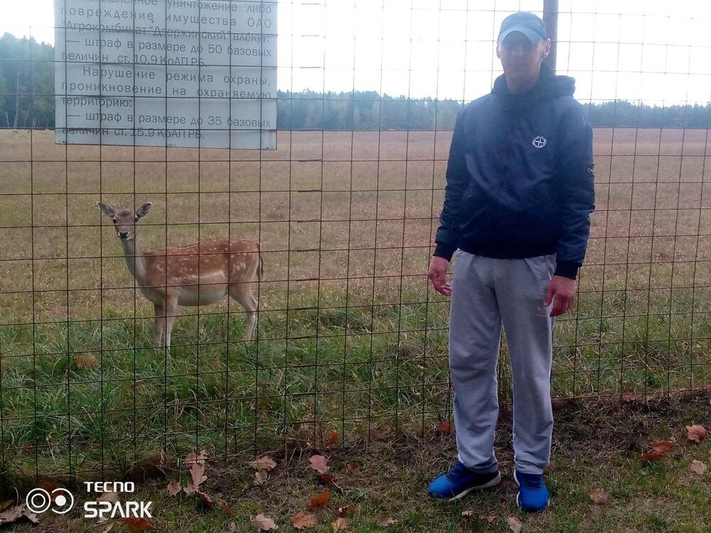 ���������� �����, ���� ������� ������, 41 ���, ������������ ��� ������, ����� � ���������