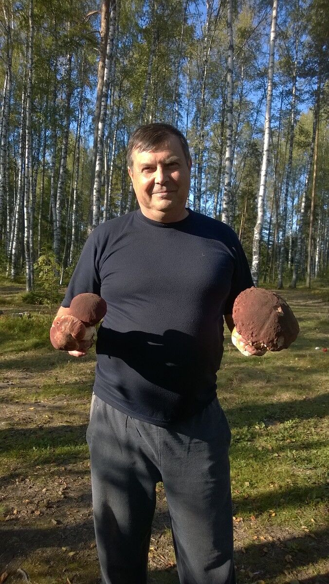  5017424  Vladimir, 61 ,    -