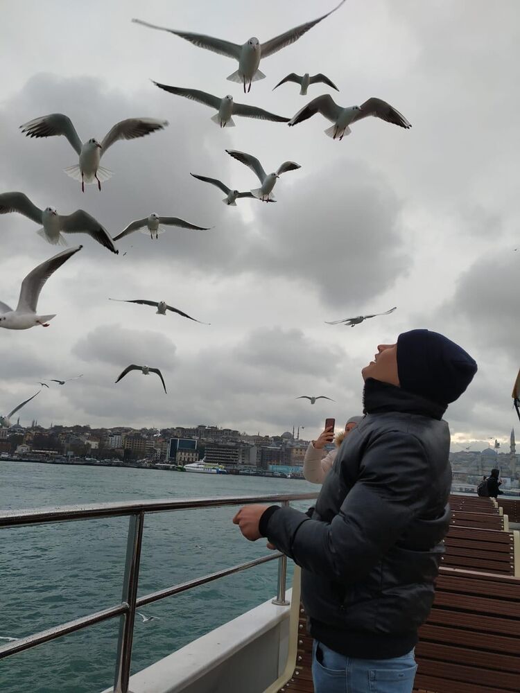  ,   , 33 ,   ,   
