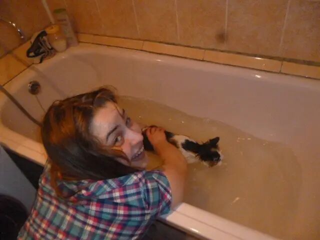 ���������� ���������, ���� ������� �������, 33 ����, ������������ ��� ���������