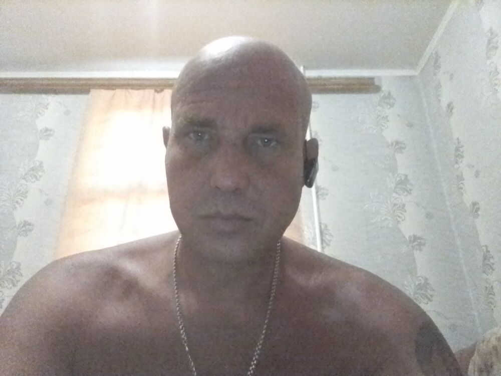  53545264  , 41 ,    