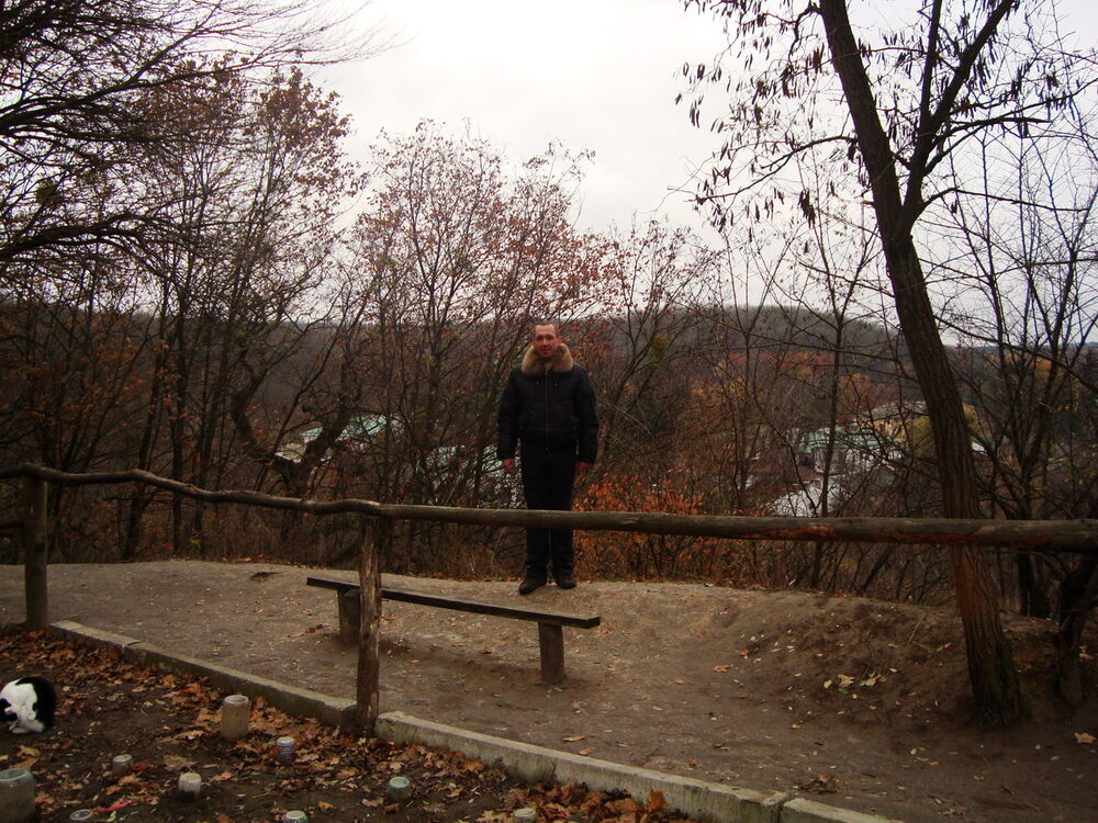   ,   , 54 ,   