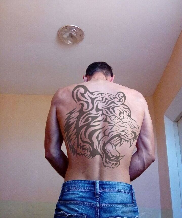  14301544  , 32 ,    