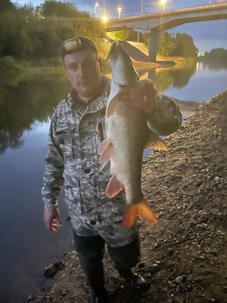 ���� 36778234 ������� ����, 36 ���, ���� ���������� � ������