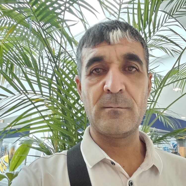 ���� 37841184 ������� �����, 46 ���, ���� ���������� � ������