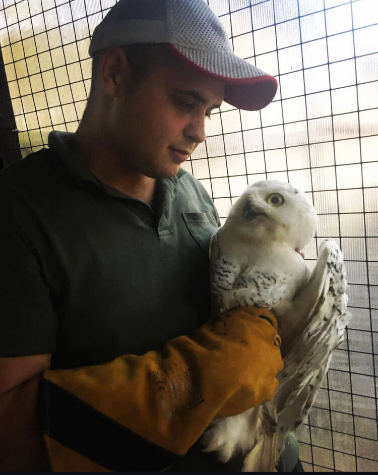 ���������� �������, ���� ������� ������, 31 ���, ������������ ��� ������, ����� � ���������, c�������� ���������, ���������