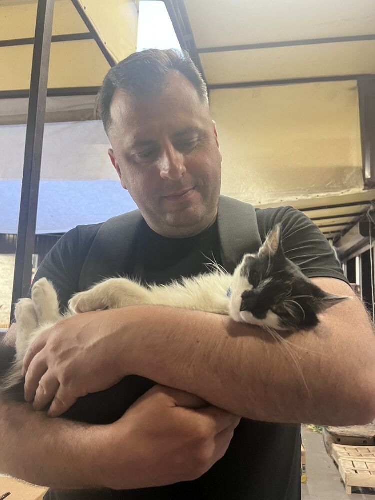 ���� 44002284 ������� ��������, 39 ���, ���� ���������� � �����