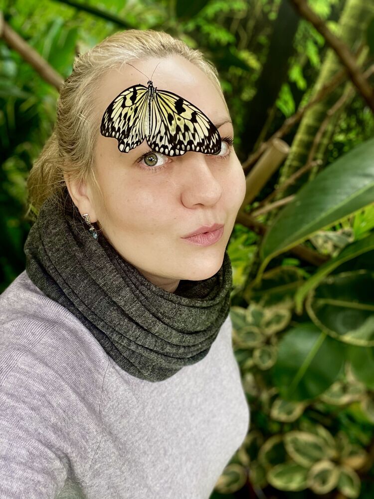  40579184  , 34 ,    -