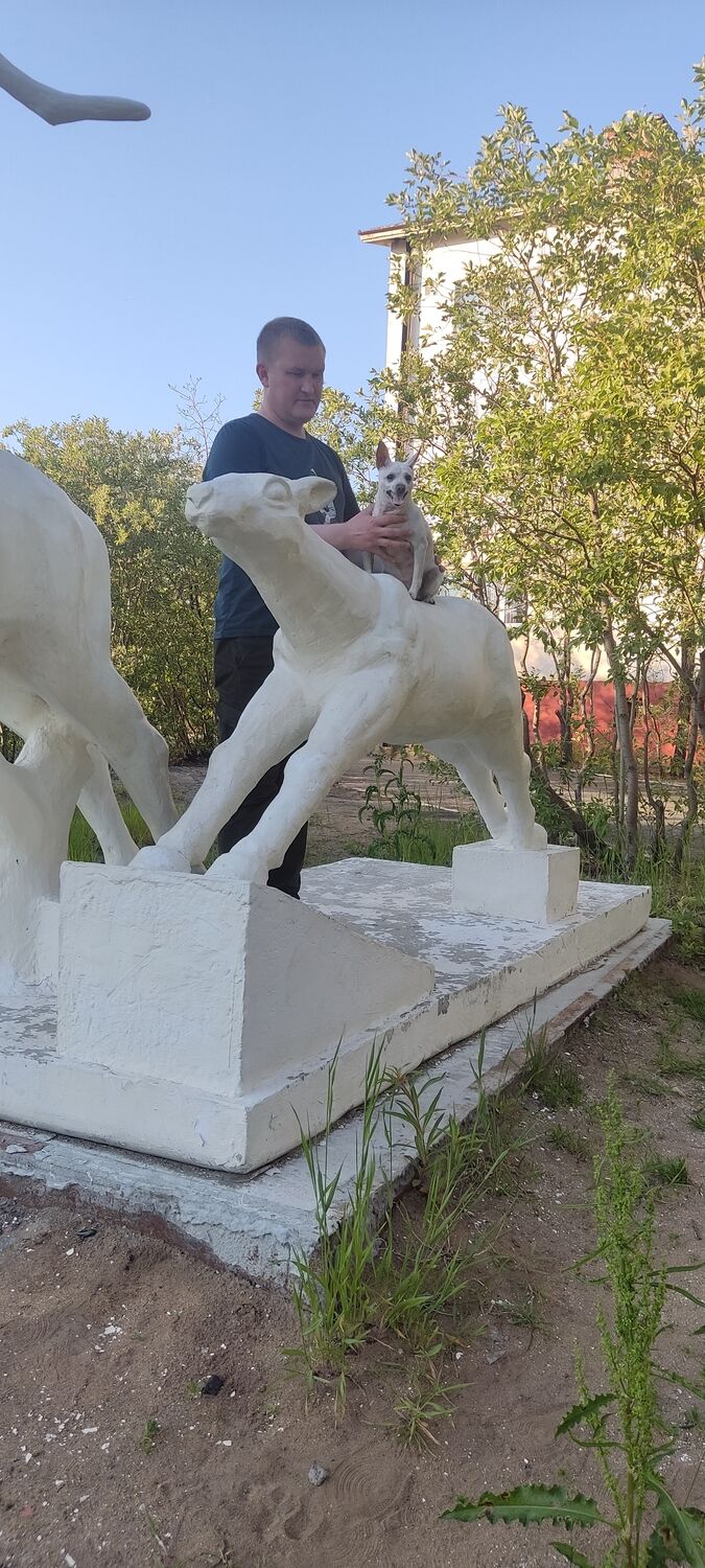 ���� 28607224 ������� ���������, 39 ���, ���� ���������� � ������