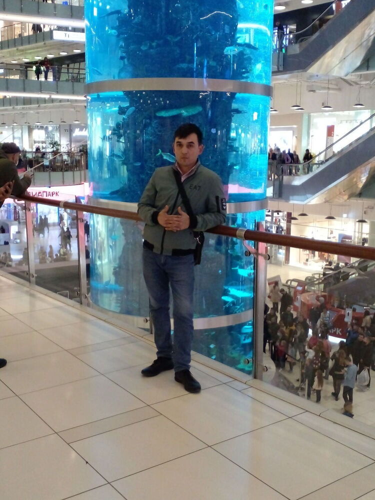 ���������� ������, ���� ������� ����, 38 ���, ������������ ��� ������, ����� � ���������