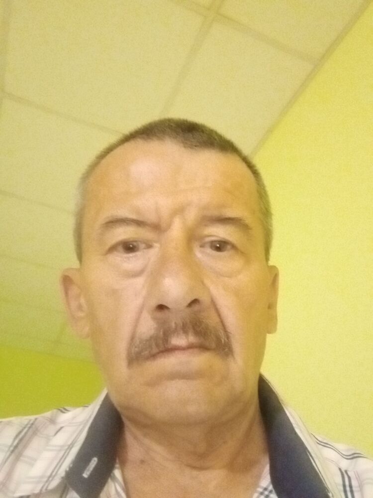 ���� 56069144 ������� ������, 66 ���, ���� ���������� � ������