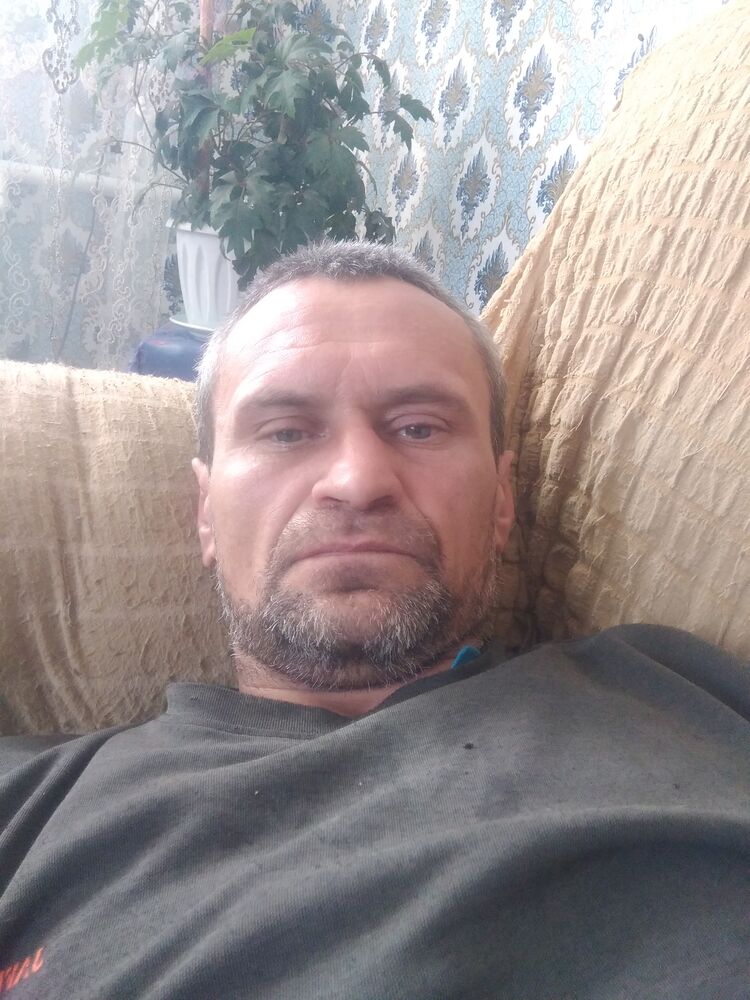  24213684  , 45 ,    