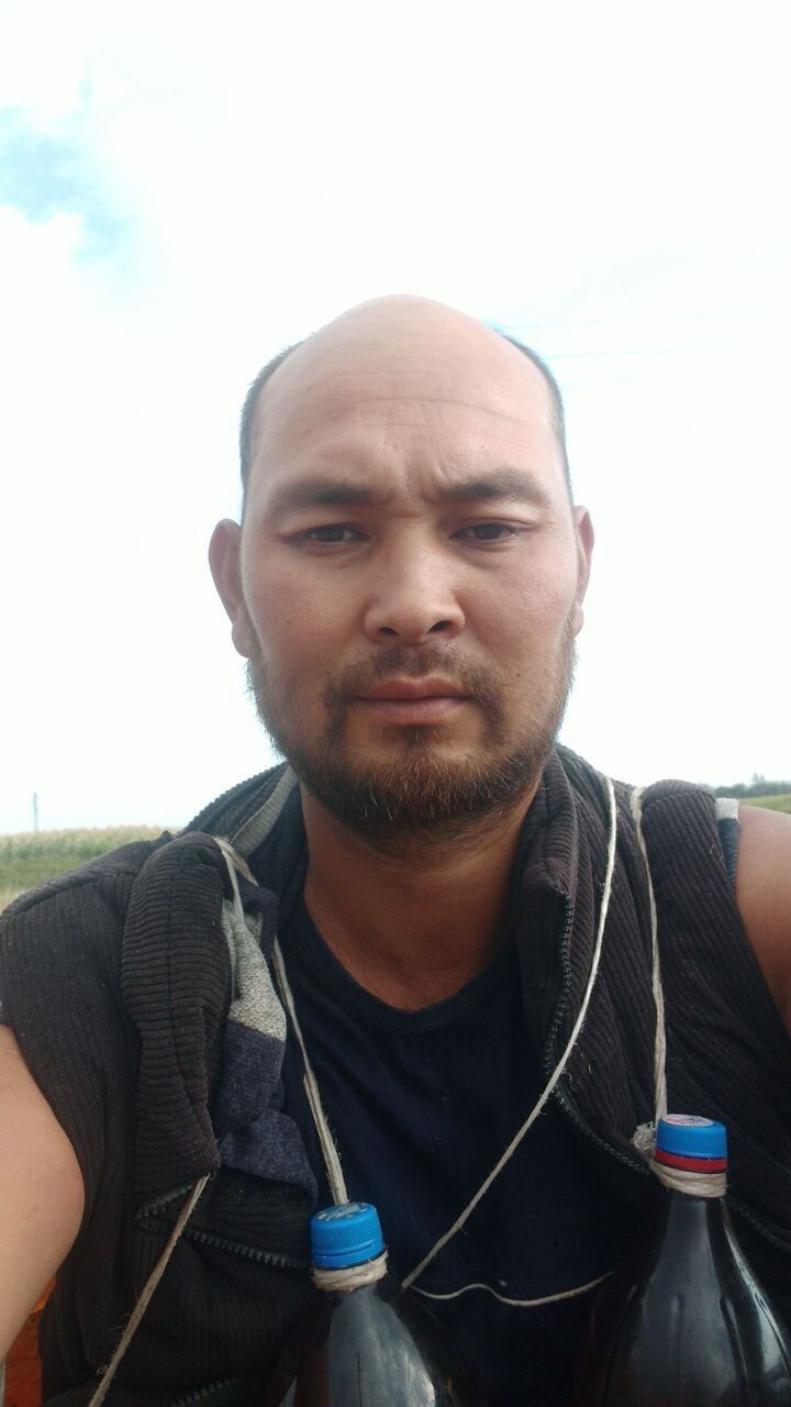  52872294  , 32 ,    