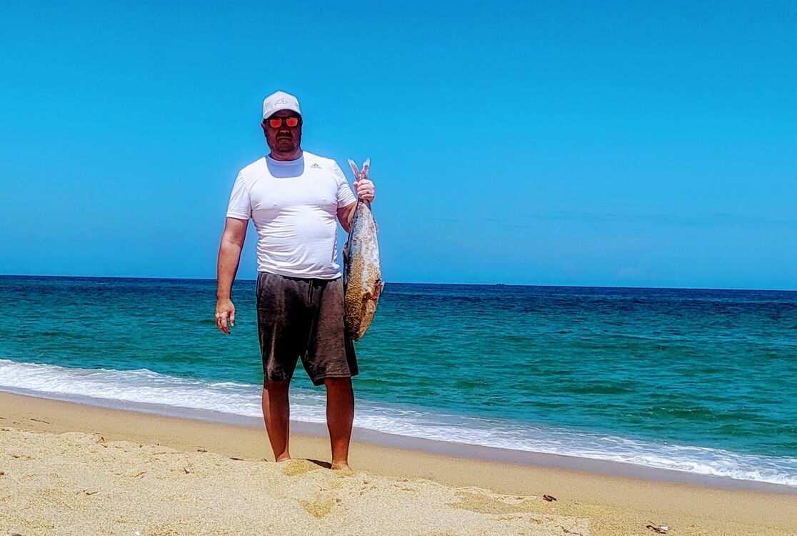 ���������� ������, ���� ������� ������, 45 ���, ������������ ��� ������, ����� � ���������