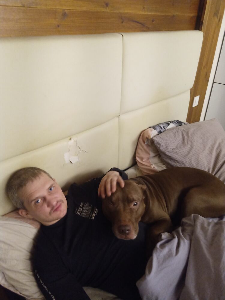 ���� 42445434 ������� ����������, 43 ����, ���� ���������� � �����-����������