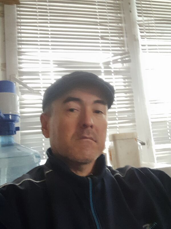 ���� 29678534 ������� ����, 50 ���, ���� ���������� � ������