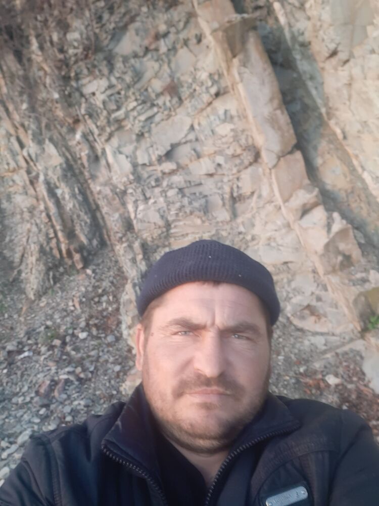  31354384  , 38 ,    