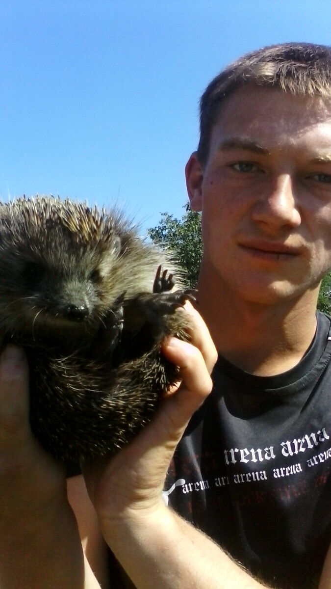 ���� 6568144 ������� �����, 32 ����, ���� ���������� � ������