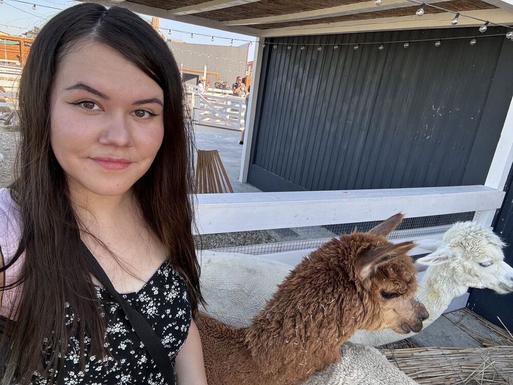  53740014  , 32 ,    -