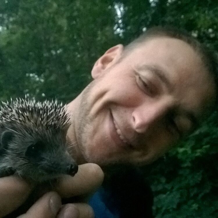 ���������� ������, ���� ������� ������, 47 ���, ������������ ��� ������, ����� � ���������