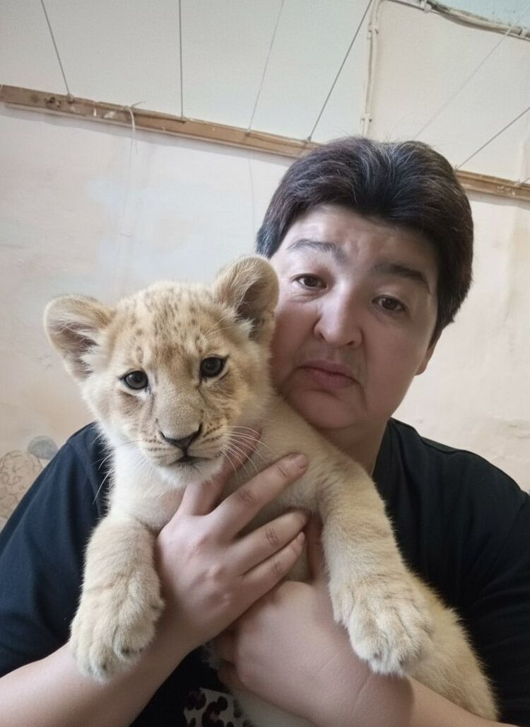 ���� 55096974 ������� �������, 46 ���, ���� ���������� � ������������