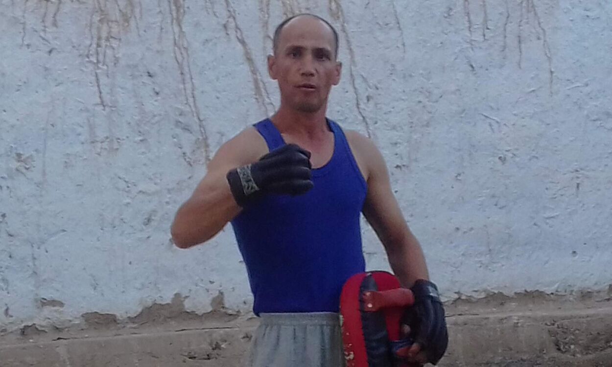  24368714  , 43 ,    