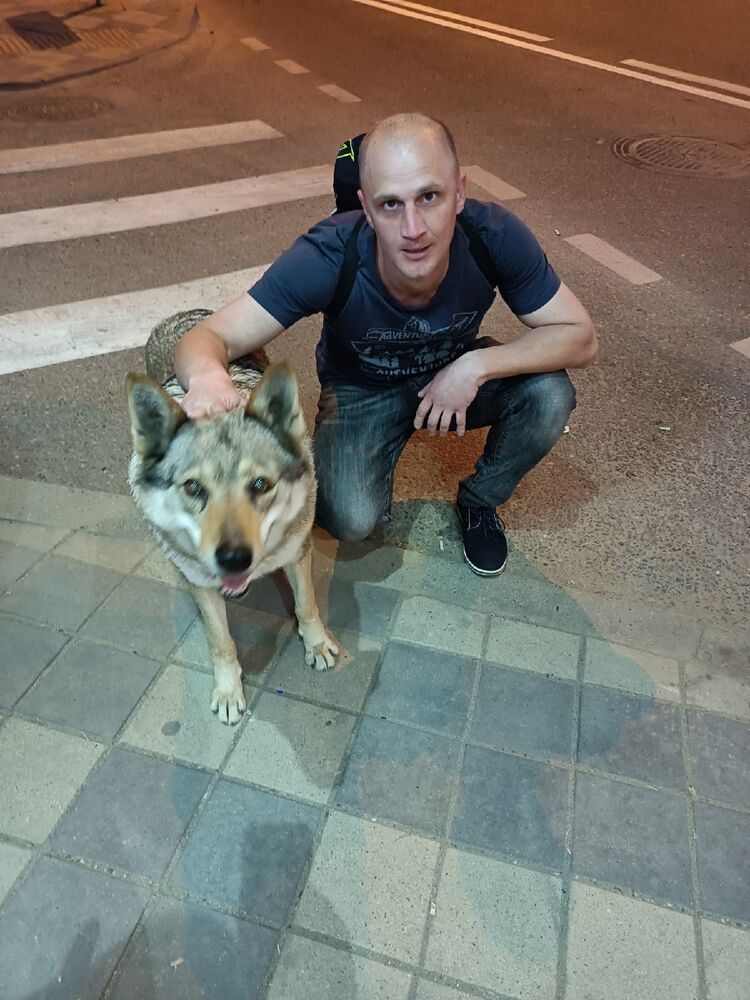  53688634  , 38 ,    