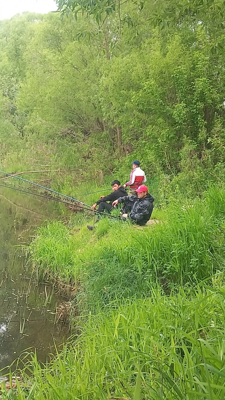 ���� 43480644 ������� �����, 40 ���, ���� ���������� � ���������