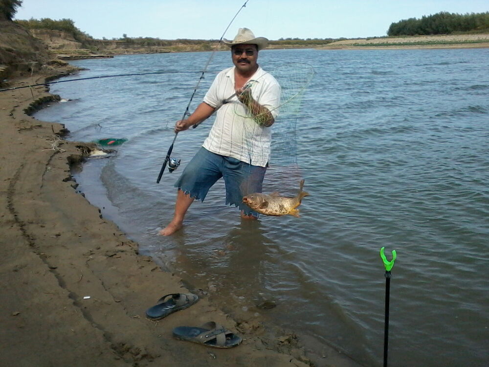  ,   , 63 ,  